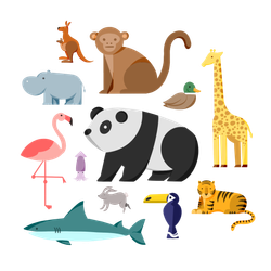 Animals (100) in chinese